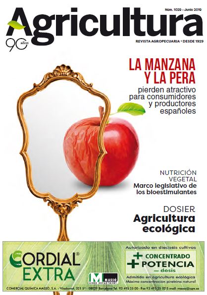 Junio
